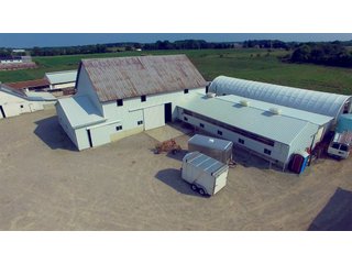 Allen County, Indiana Farmstead - FARMSTEAD AUCTION - 41+/- ACRES IN 4 TRACTS IN ALLEN COUNTY, INDIANA